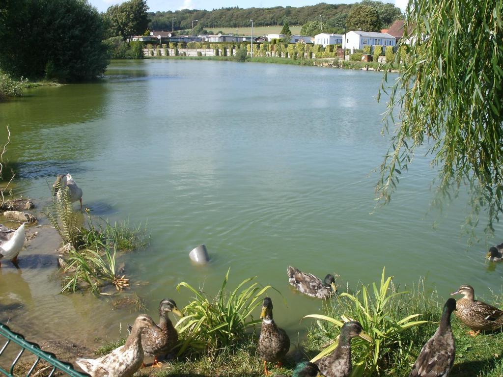 Auberge Des Etangs Roussent Exterior photo